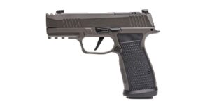 SIG Sauer P365 AXG LEGION 9mm 3.1 inch barrel Legion Gray with G10 grips and XRAY3 night sights