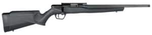 Savage B17 FV-SR .17 HMR rifle 16.25in matte black synthetic stock