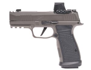 Sig Sauer P365 AXG Legion 9mm 3.1in Gray with Romeo-X optic and three 17-round magazines