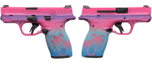 SMITH & WESSON BODYGUARD 2.0 NMS 380ACP 2.75" MIAMI 1-10RD 1-12RD