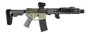 Shark Coast Tactical Sneeky Pete .300 Blackout AR pistol two-tone green Cerakote with SBA3 brace