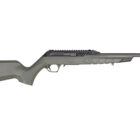 Derya TM22 Standard 18" .22 LR semi-auto rifle in OD Green with Picatinny rail