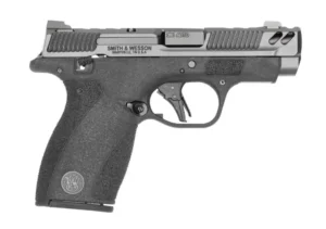 Smith & Wesson Bodyguard 2.0 Carry Comp .380 ACP 3.1 in gray/black Performance Center pistol